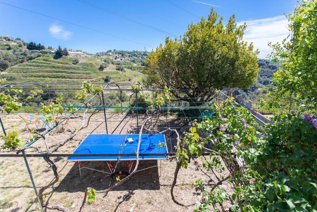 Echapee Belle - Vinayard View - Jacuzzi Bbq - Parking Apartment Ница Екстериор снимка