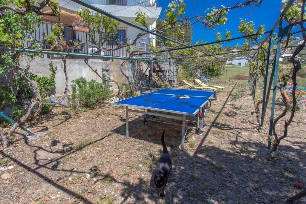Echapee Belle - Vinayard View - Jacuzzi Bbq - Parking Apartment Ница Екстериор снимка