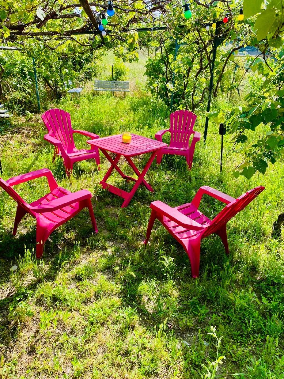 Echapee Belle - Vinayard View - Jacuzzi Bbq - Parking Apartment Ница Екстериор снимка